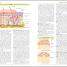 BMA Illustrated Medical Dictionary - thumbnail of spread image 2 Thumbnail image of BMA Illustrated Medical Dictionary - 2
