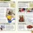 Great Things to Do Outside - thumbnail of spread image 2 Thumbnail image of Great Things to Do Outside - 2