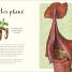 The Wonders of Nature - thumbnail of spread image 3 Thumbnail image of The Wonders of Nature - 3