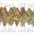 Stephen Biesty's More Incredible Cross-sections - thumbnail of spread image 3 Thumbnail image of Stephen Biesty's More Incredible Cross-sections - 3