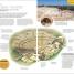 DK Eyewitness Sicily - thumbnail of spread image 5 Thumbnail image of DK Eyewitness Sicily - 5