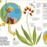 How to Be a Scientist - thumbnail of spread image 2 Thumbnail image of How to Be a Scientist - 2