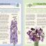 RHS Great British Village Show - thumbnail of spread image 5 Thumbnail image of RHS Great British Village Show - 5