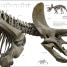 Dinosaurs and Prehistoric Life - thumbnail of spread image 4 Thumbnail image of Dinosaurs and Prehistoric Life - 4