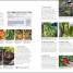 RHS Step-by-Step Veg Patch - thumbnail of spread image 3 Thumbnail image of RHS Step-by-Step Veg Patch - 3