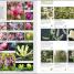 Encyclopedia of Plants and Flowers - thumbnail of spread image 1 Thumbnail image of Encyclopedia of Plants and Flowers - 1