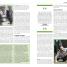 El Libro de Shakespeare - thumbnail of spread image 6 Thumbnail image of El Libro de Shakespeare - 6