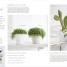 Practical Houseplant Book - thumbnail of spread image 2 Thumbnail image of Practical Houseplant Book - 2