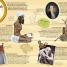 100 Events That Made History - thumbnail of spread image 3 Thumbnail image of 100 Events That Made History - 3