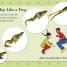 DK Readers L1: Tale of a Tadpole - thumbnail of spread image 3 Thumbnail image of DK Readers L1: Tale of a Tadpole - 3