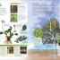 The New Children's Encyclopedia - thumbnail of spread image 5 Thumbnail image of The New Children's Encyclopedia - 5
