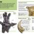 DK Pocket Eyewitness Dinosaurs - thumbnail of spread image 1 Thumbnail image of DK Pocket Eyewitness Dinosaurs - 1