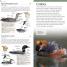 American Museum of Natural History: Pocket Birds of North America, Eastern Region - thumbnail of spread image 2 Thumbnail image of American Museum of Natural History: Pocket Birds of North America, Eastern Region - 2