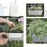 Grow All You Can Eat in 3 Square Feet - thumbnail of spread image 3 Thumbnail image of Grow All You Can Eat in 3 Square Feet - 3