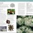 Herbal Remedies Handbook - thumbnail of spread image 2 Thumbnail image of Herbal Remedies Handbook - 2