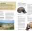 World History - thumbnail of spread image 2 Thumbnail image of World History - 2