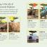 DK Readers L3: Hope for the Elephants - thumbnail of spread image 2 Thumbnail image of DK Readers L3: Hope for the Elephants - 2