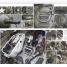 The Tank Book - thumbnail of spread image 2 Thumbnail image of The Tank Book - 2