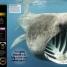 SuperShark - thumbnail of spread image 2 Thumbnail image of SuperShark - 2