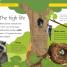 Forest Life and Woodland Creatures - thumbnail of spread image 2 Thumbnail image of Forest Life and Woodland Creatures - 2
