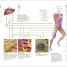 Science of Running - thumbnail of spread image 3 Thumbnail image of Science of Running - 3