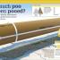 It Can't Be True! Poo! - thumbnail of spread image 3 Thumbnail image of It Can't Be True! Poo! - 3