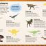 Sticker Encyclopedia Dinosaurs - thumbnail of spread image 3 Thumbnail image of Sticker Encyclopedia Dinosaurs - 3