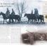 World War I - thumbnail of spread image 2 Thumbnail image of World War I - 2