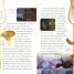 Disney Princess The Enchanted Library Slipcase - thumbnail of spread image 4 Thumbnail image of Disney Princess The Enchanted Library Slipcase - 4