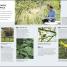 RHS How to Create your Garden - thumbnail of spread image 3 Thumbnail image of RHS How to Create your Garden - 3