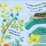 RHS How Does a Butterfly Grow? - thumbnail of spread image 1 Thumbnail image of RHS How Does a Butterfly Grow? - 1