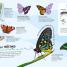 Ultimate Sticker Book: Bugs - thumbnail of spread image 2 Thumbnail image of Ultimate Sticker Book: Bugs - 2