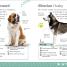 The Everything Book of Dogs and Puppies - thumbnail of spread image 1 Thumbnail image of The Everything Book of Dogs and Puppies - 1