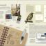 The Practical Naturalist - thumbnail of spread image 5 Thumbnail image of The Practical Naturalist - 5