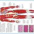 My Amazing Body Machine - thumbnail of spread image 4 Thumbnail image of My Amazing Body Machine - 4