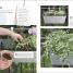 Grow All You Can Eat In Three Square Feet - thumbnail of spread image 3 Thumbnail image of Grow All You Can Eat In Three Square Feet - 3