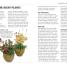 RHS Good Plant Guide - thumbnail of spread image 2 Thumbnail image of RHS Good Plant Guide - 2