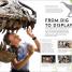 Behind the Scenes at the Museum - thumbnail of spread image 3 Thumbnail image of Behind the Scenes at the Museum - 3