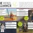 DK Readers L2: LEGO Star Wars: Free the Galaxy - thumbnail of spread image 1 Thumbnail image of DK Readers L2: LEGO Star Wars: Free the Galaxy - 1