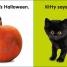 Baby Touch and Feel Halloween - thumbnail of spread image 1 Thumbnail image of Baby Touch and Feel Halloween - 1