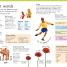 First Children's Dictionary - thumbnail of spread image 1 Thumbnail image of First Children's Dictionary - 1