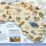 What's Where on Earth? Atlas - thumbnail of spread image 1 Thumbnail image of What's Where on Earth? Atlas - 1