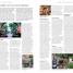 DK Eyewitness Travel Guide Jerusalem, Israel, Petra and Sinai - thumbnail of spread image 3 Thumbnail image of DK Eyewitness Travel Guide Jerusalem, Israel, Petra and Sinai - 3