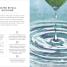 Self Reiki - thumbnail of spread image 5 Thumbnail image of Self Reiki - 5
