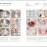Illustrated Step-by-Step Baking - thumbnail of spread image 4 Thumbnail image of Illustrated Step-by-Step Baking - 4