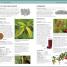 Herbal Remedies Handbook - thumbnail of spread image 1 Thumbnail image of Herbal Remedies Handbook - 1