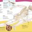 Did You Know? Science - thumbnail of spread image 1 Thumbnail image of Did You Know? Science - 1