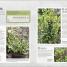 Incredible Edibles - thumbnail of spread image 5 Thumbnail image of Incredible Edibles - 5