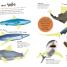 Ultimate Sticker Book: Sharks - thumbnail of spread image 1 Thumbnail image of Ultimate Sticker Book: Sharks - 1