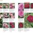 RHS Encyclopedia of Plants and Flowers - thumbnail of spread image 2 Thumbnail image of RHS Encyclopedia of Plants and Flowers - 2